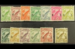 1932-34 OFFICIALS Set, SG O42/54, Fine Mint. (13) For More Images, Please Visit Http://www.sandafayre.com/itemdetails.as - Papua Nuova Guinea