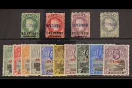 SPECIMENS Fresh Mint Selection With Scarce 1884 Set Of 4, SG 40s/44s And 1912 Geo V Set Complete, SG 72s/81s. (14 Stamps - Saint Helena Island