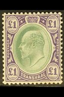 TRANSVAAL 1904-09 £1 Green & Violet, Wmk Mult Crown CA, Chalk-surfaced Paper, SG 272a, Very Fine Mint. For More Images,  - Sin Clasificación