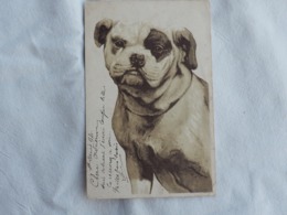 Dog Stamp 1903   A 204 - Hunde