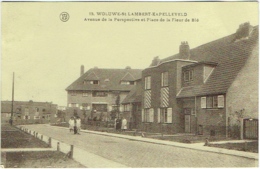 Woluwé-St.-Lambert- Kappelleveld. Avenue De La Perspective Et Place De La Fleur De Blé. - Woluwe-St-Lambert - St-Lambrechts-Woluwe