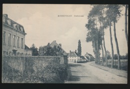 BASSEVELDE - BEEKSTRAAT - Assenede