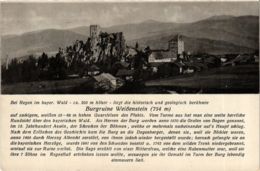 CPA AK Regen Burgruine Weissenstein GERMANY (892558) - Regen