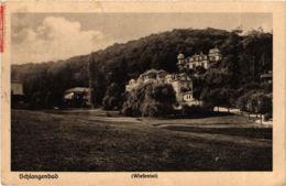 CPA AK Schlangenbad - Wiesental - Town Scene GERMANY (859651) - Schlangenbad