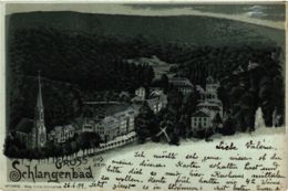 CPA AK Schlangenbad - Totalansicht - Litho GERMANY (859657) - Schlangenbad