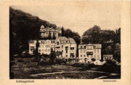 CPA AK Schlangenbad - Schweizertal GERMANY (859662) - Schlangenbad