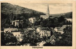 CPA AK Schlangenbad - Panorama GERMANY (859674) - Schlangenbad