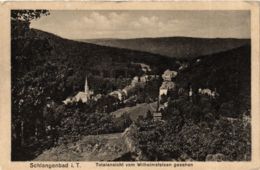 CPA AK Schlangenbad - Totalansicht V. Wilhelmsfelsen Gesehen GERMANY (859675) - Schlangenbad