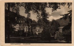CPA AK Schlangenbad - Schweizertal GERMANY (859686) - Schlangenbad