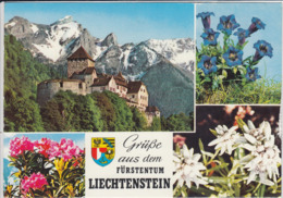 Grüße Aus LIECHTENSTEIN - Mehrfachansicht  Nice Stamp 1983 Vaduz - Liechtenstein