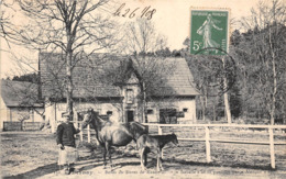 27-BERNAY-BOXES DU HARAS DE MENNEVAL, ISABELLE ET SA POULICHE - Bernay