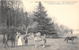 27-BERNAY- HARAS DE MENNEVAL1907 , TROIS YEARLINGS D'ALENCON- MENNEVAL, JUIF-ERRANT, DUC DE NORMANDIE - Bernay