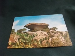 IL FUNGO  THE MUSHROOM STONE LE ROCHER CHAMPIGNON DAS PILZGESTEIN SARDEGNA ARZACHENA - Pilze