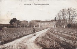 OPPEDE - Domaine Des Lônes - Oppede Le Vieux