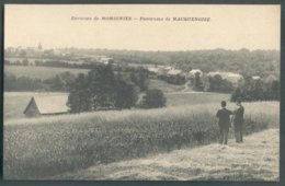 C.P. Neuve MOMIGNIES Panorama De MACQUENOISE - 14604 - Momignies