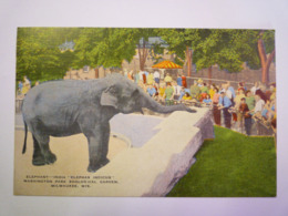 GP 2019 - 1981  ELEPHANT -India  "Elephas Indicus"  Washington Park Zoological Garden, Milwaukee  1946     XXX - Milwaukee
