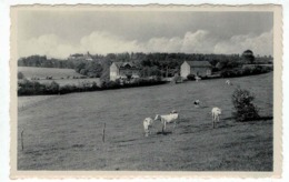 Havelange - Méan - Ed. Roumache Arsène - L'Hôtel - Nels - Havelange