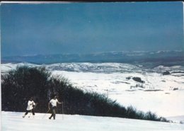 12----Ski De Fond à LAGUIOLE--altitude 1400m--voir 2 Scans - Laguiole