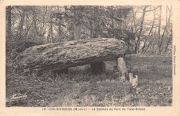 PIE.Z.19-PF.T-786 : LE LION D'ANGERS. MAINE ET LOIRE. LE DOLMEN DU PARC DE L'ISLE-BRIAND - Dolmen & Menhirs