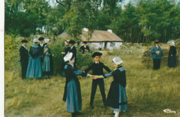 FOLKLORE MARAICHIN. - Groupe " Le Bouquet D'Ajoncs". BOIS DE CENE. Ronde D'Enfants - Danses