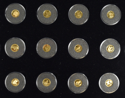 Cook Inseln - Anlagegold: 12 X 25 Dollars 1990 - 1992: Serie Die Kleinsten Tier-Münzen Der Welt In G - Cook Islands