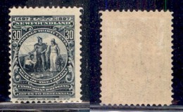 CANADA - NEWFOUNDLAND - 1897 - 30 Cent Stemma (55) - Gomma Originale (70) - Altri & Non Classificati