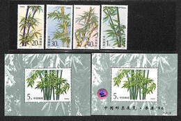 CINA - 1993 - Bambu (2478/2481 + Block 62 I+II) - Emissione Completa - Gomma Integra (12+) - Altri & Non Classificati