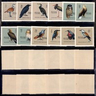 POLONIA - 1960 - Uccelli (1197/1208) - Serie Completa - Gomma Integra (30) - Autres & Non Classés