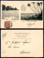 SRI LANKA - Ceylon - 2 Cent (58) - Su Cartolina Illustrata Da Colombo A Macerata Del 11.12.02 - Altri & Non Classificati