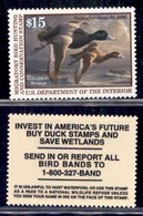 STATI UNITI D'AMERICA - Dipartimento Dell'interno - 1999 - 15 Dollari Greater Scaup (RW66) - Gomma Integra - Altri & Non Classificati