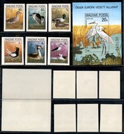 UNGHERIA - 1980 - Uccelli (3451/3456 + Block 146 B) - Serie Completa + Foglietto - Non Dentellati - Gomma Integra (80) - Autres & Non Classés