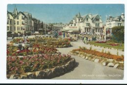 Devon Paignton The Esplanade Salmon Postcard Unused - Paignton