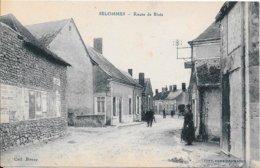 SELOMMES - Route De Blois - Selommes