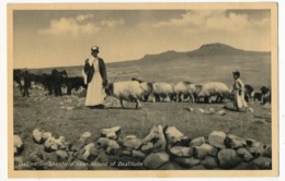 CPA - GALILÉE - Sheperd Near Mount Of Beatitude - Le Mont Des Béatitudes - Israel