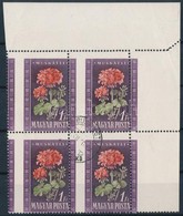 O 1950 Virág 40f  ívsarki Négyestömb Rendkívül Látványos Elfogazással - Autres & Non Classés