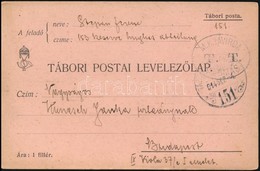 1914 Tábori Posta Levelezőlap / Field Postcard 'TP 151' - Altri & Non Classificati