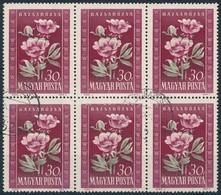 O 1950 Virág 30f Hatostömb Eltolódott Színnyomatokkal - Sonstige & Ohne Zuordnung