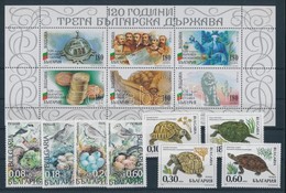 ** 1999 50 Klf Bélyeg Teljes Sorokban + 3 Klf Blokk 3 Berakólapon - Other & Unclassified