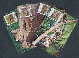 ** 1988 WWF Ocelot Négyescsík Mi 1734-1737 + 4 CM + 4 FDC-n - Andere & Zonder Classificatie