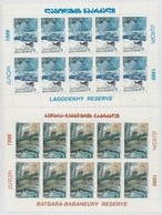 ** 1999 Europa CEPT Nemzeti Parkok Kisívsor Mi 312-313 - Andere & Zonder Classificatie