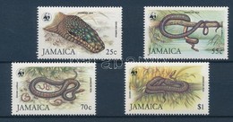 ** 1984 WWF: Boa Sor + 4 Db FDC Mi 591-594 - Otros & Sin Clasificación