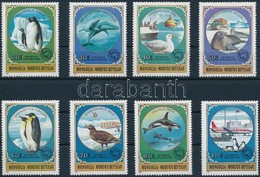 ** 1980 Antarktisz Kutatás - Állatok Sor,
Antarctic Research - Animals Set
Mi 1336-1343 - Other & Unclassified