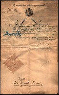1903 Közjegyzői Kinevezés Dr. Janits Imre, A Közjegyzői Kamara Későbbi Elnökének Részére. - Sin Clasificación