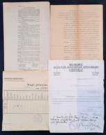 Cca 1919 Vegyes Papírrégiség Tétel:  Napi Jelentés, Hirdetmény Felmentési Kérelem, Végrehajtási Utasítás - Unclassified