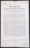 Cca 1929 Az Erzsébet Tudományegyetem Latin Nyelvű Orvosi Oklevelének Hiteles Másolata + Budapest Főváros Hatósági Egészs - Non Classés