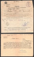 Cca 1941-1944 Rádiózással Kapcsolatos Okmányok: Rádiótartási Engedély, Csomagcímke, Engedély Visszavonása, összesen 3 Db - Sin Clasificación