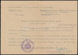 1942 A Borsodvármegyei M. Kir. Gazdasági Felügyelőség Lószállítási Engedélye Bácsszentiváni Michailovits György Nyugalma - Zonder Classificatie