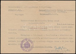 1942 A Borsodvármegyei M. Kir. Gazdasági Felügyelőség Lószállítási Engedélye Bácsszentiváni Michailovits György Nyugalma - Unclassified