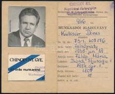 1954 A Chinoin Rt. Fényképes Munkaadói Igazolványa - Zonder Classificatie