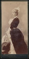 Cca 1888 Gróf Andrássy Gézáné, Kaunitz Eleonóra Grófnő (1862-1936), A Betléri (Felvidék) Andrássy-kastély úrnőjének Fotó - Autres & Non Classés